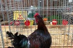 IMG-20191017-WA0019