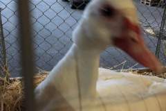 IMG-20191017-WA0132