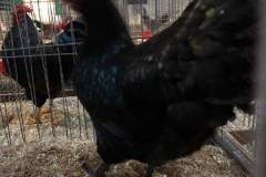 IMG-20191017-WA0140