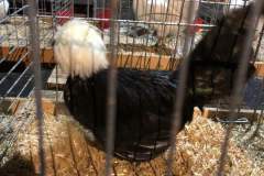IMG-20191017-WA0149